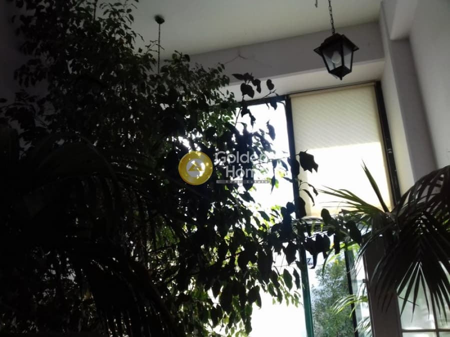 Retail Store in Kefalari, Kifisia — Photo 7 of 16
