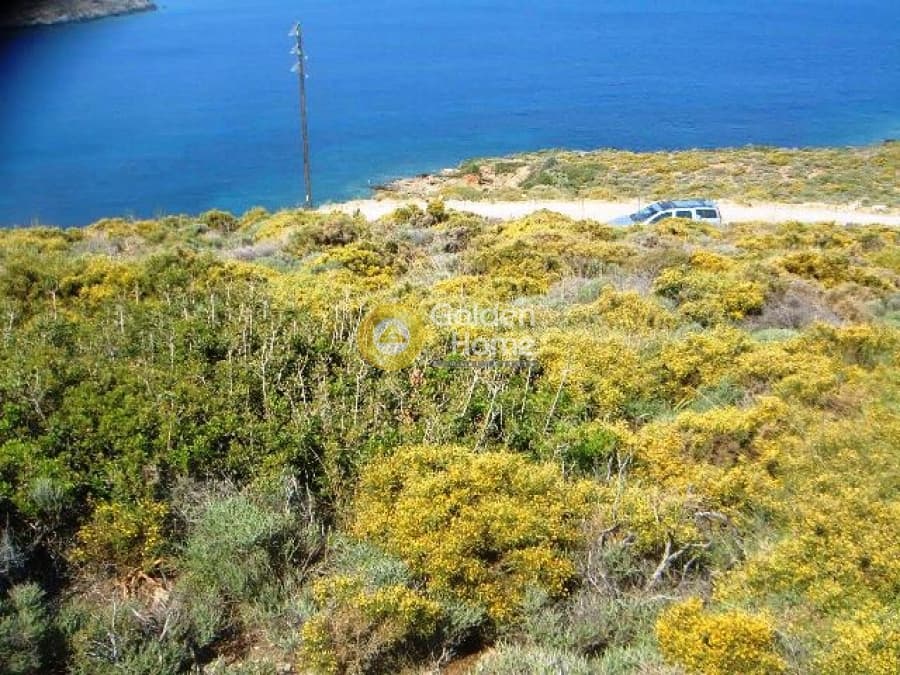 Building Plot in Kato Fellos, Andros — Photo 4 of 5