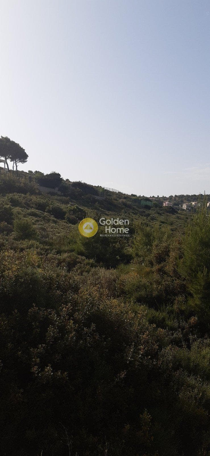 Building Plot in Nea Pallini, Pallini — Photo 10 of 12