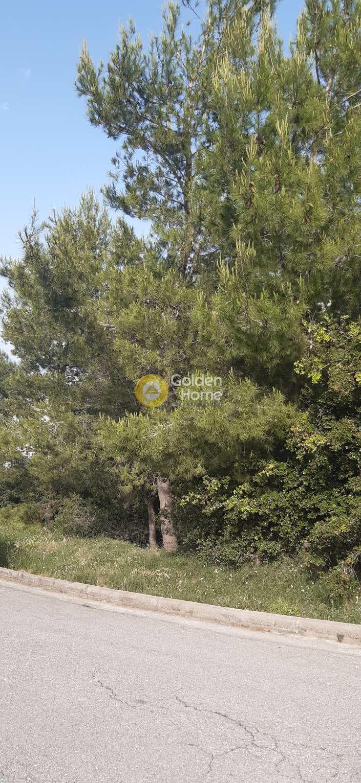 Building Plot in Nea Pallini, Pallini — Photo 11 of 12