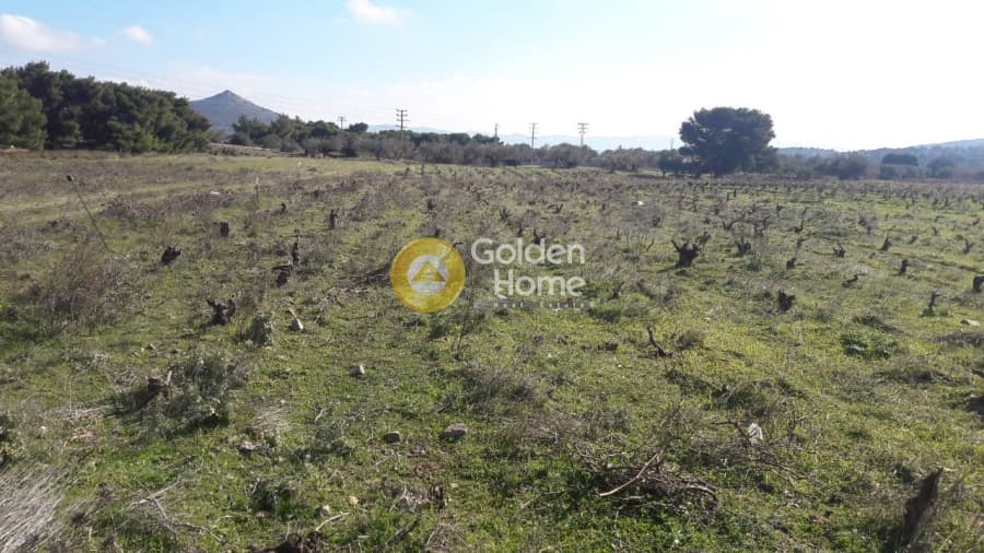 Οικόπεδο στην Μαρκάτι, Λαύριο — Φωτογραφία 1 από 2