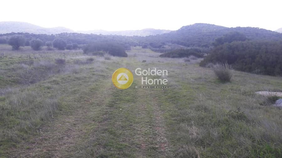 Οικόπεδο στην Μαρκάτι, Λαύριο — Φωτογραφία 2 από 2