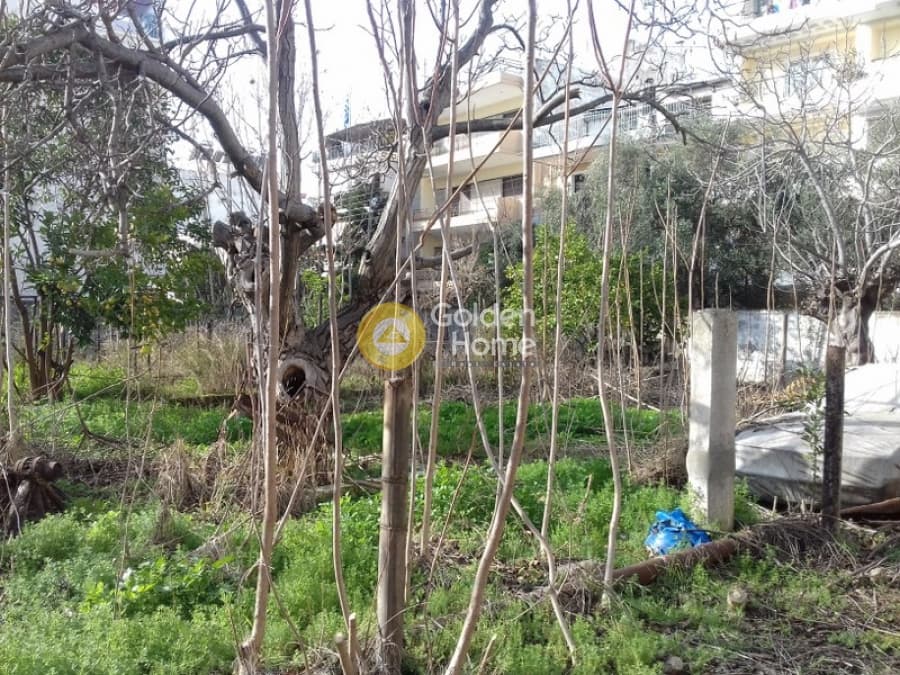 Οικόπεδο στην Μεγάλα Σχοινία Α, Αχαρνές — Φωτογραφία 5 από 13