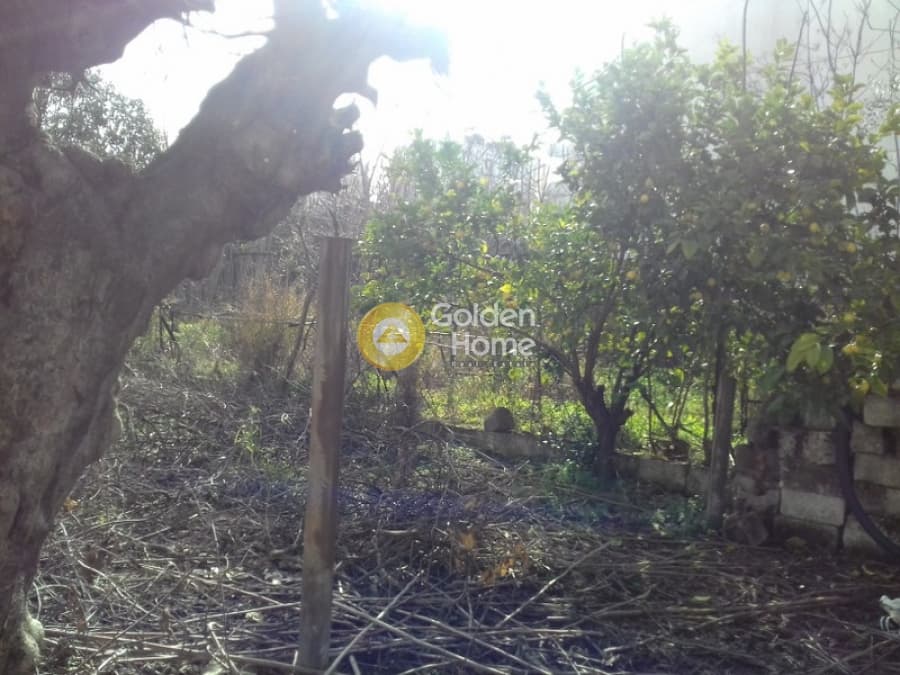 Οικόπεδο στην Μεγάλα Σχοινία Α, Αχαρνές — Φωτογραφία 10 από 13