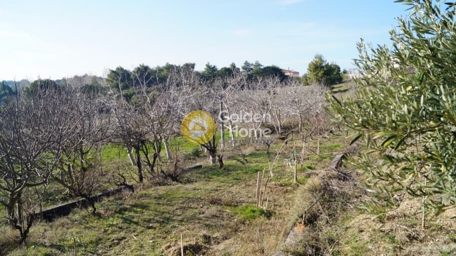 Μονοκατοικία στην Μικροχώρι, Κ. Καπανδριτίου — Φωτογραφία 1 από 8