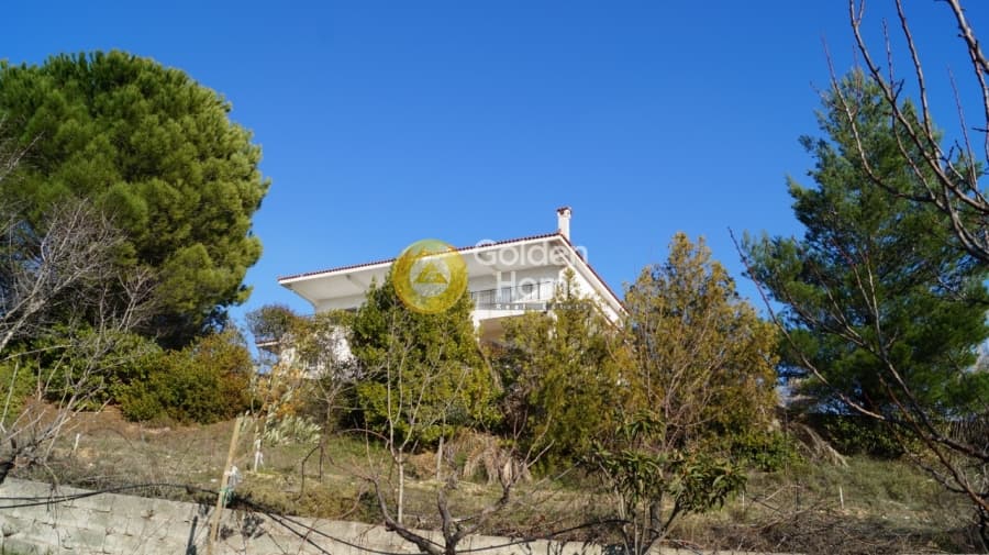 Μονοκατοικία στην Μικροχώρι, Κ. Καπανδριτίου — Φωτογραφία 7 από 8