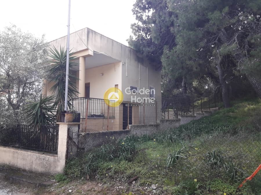 Μονοκατοικία στην Νηρέας, Ραφήνα — Φωτογραφία 10 από 11