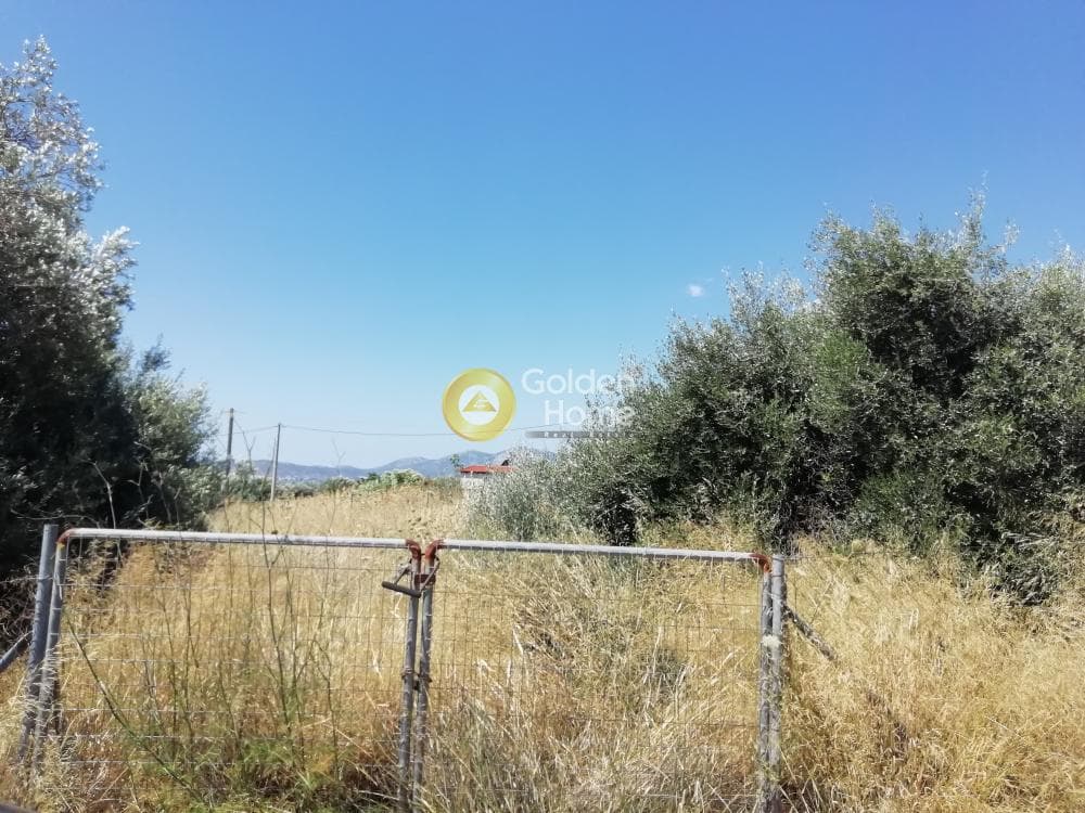 Building Plot in Neapoli, Spata — Photo 2 of 6