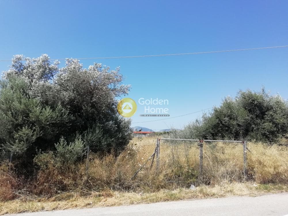 Building Plot in Neapoli, Spata — Photo 3 of 6