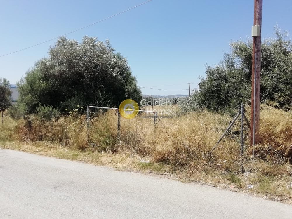 Building Plot in Neapoli, Spata — Photo 6 of 6
