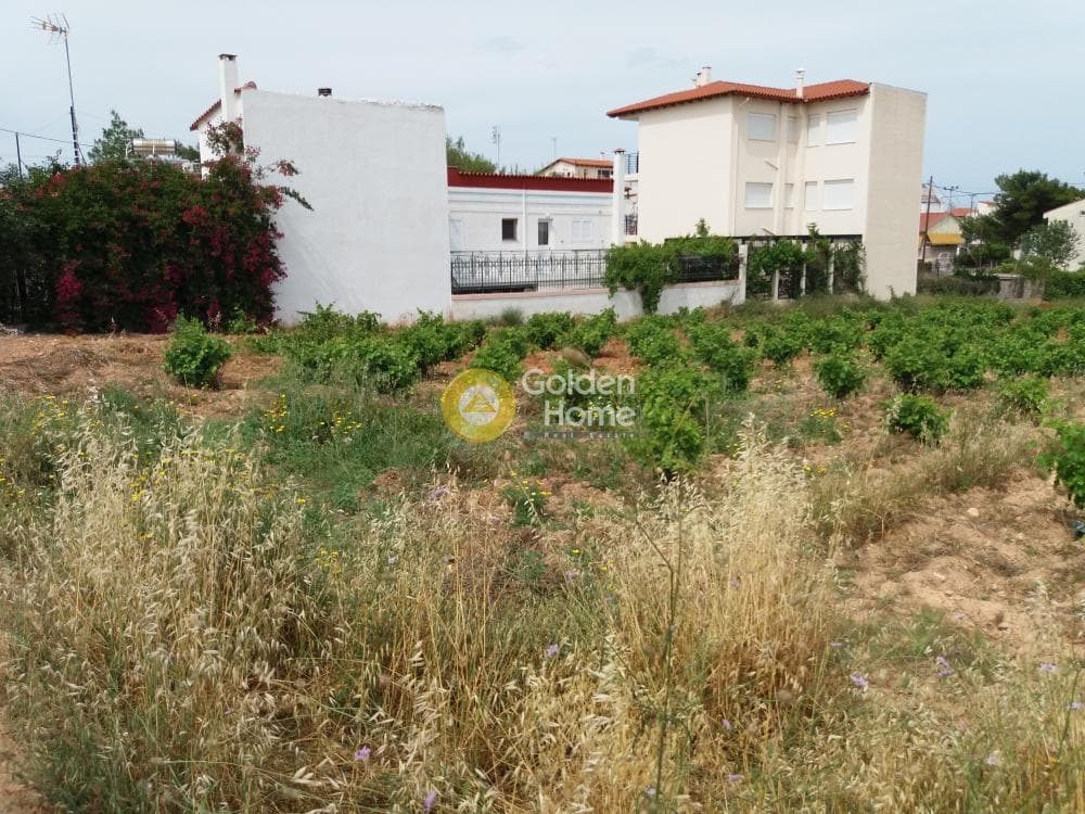 Building Plot in Neapoli, Spata — Photo 2 of 2