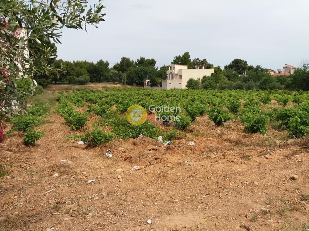 Building Plot in Neapoli, Spata — Photo 1 of 2