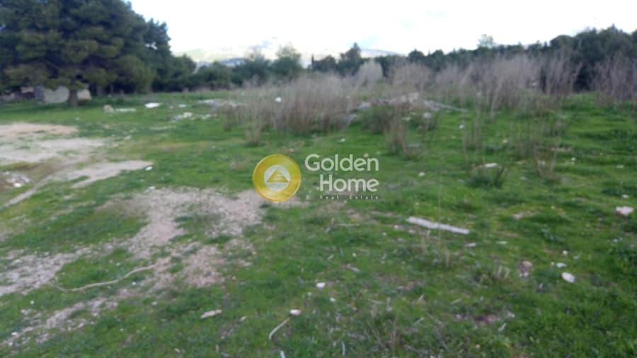 Αγροτεμάχιο στην Κέντρο, Μεταμόρφωση — Φωτογραφία 4 από 10