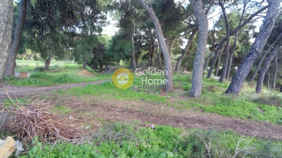Αγροτεμάχιο στην Κέντρο, Μεταμόρφωση — Φωτογραφία 5 από 10