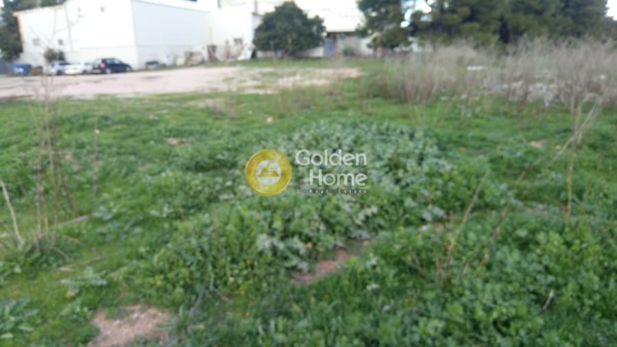 Αγροτεμάχιο στην Κέντρο, Μεταμόρφωση — Φωτογραφία 7 από 10