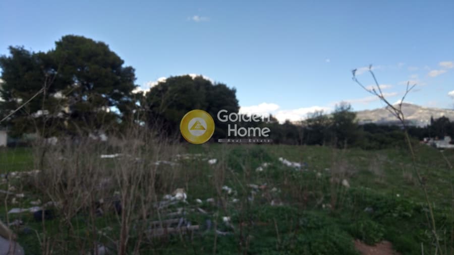 Αγροτεμάχιο στην Κέντρο, Μεταμόρφωση — Φωτογραφία 9 από 10