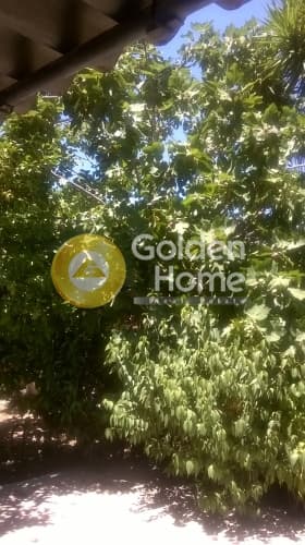 Building Plot in Center, Argyroupoli — Photo 4 of 6