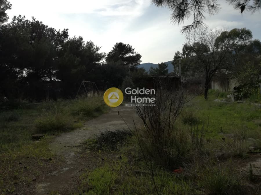 Οικόπεδο στην Μεγάλα Σχοινία Α, Αχαρνές — Φωτογραφία 5 από 7