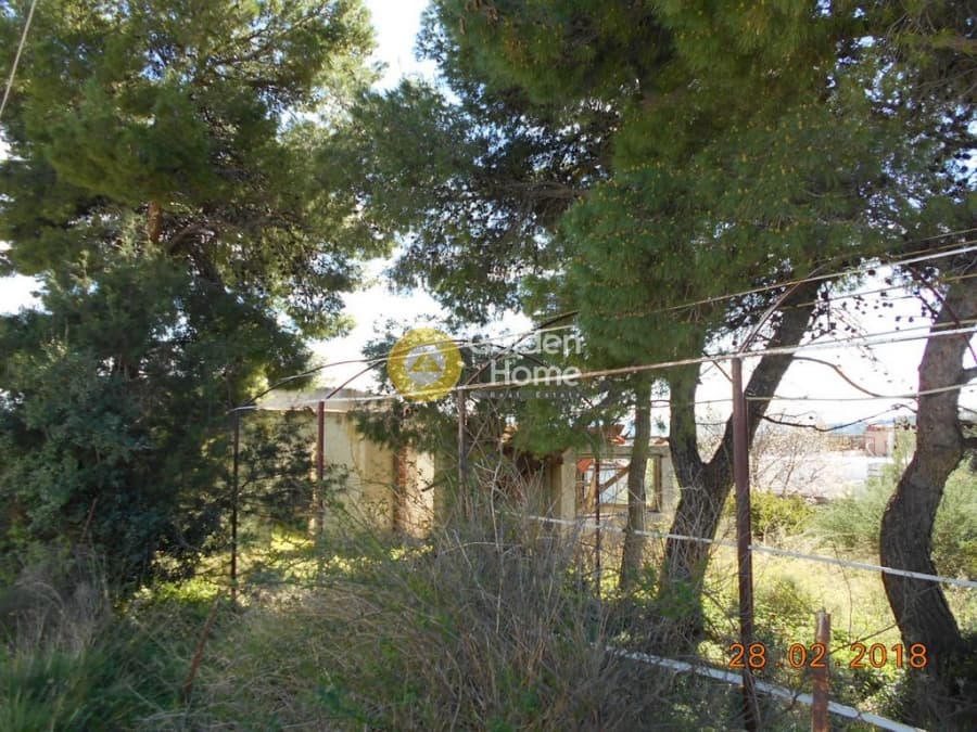 Parcel in Perivolakia, Rafina — Photo 1 of 17