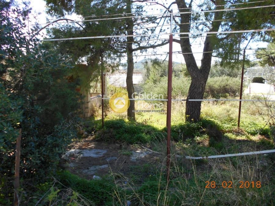 Parcel in Perivolakia, Rafina — Photo 2 of 17