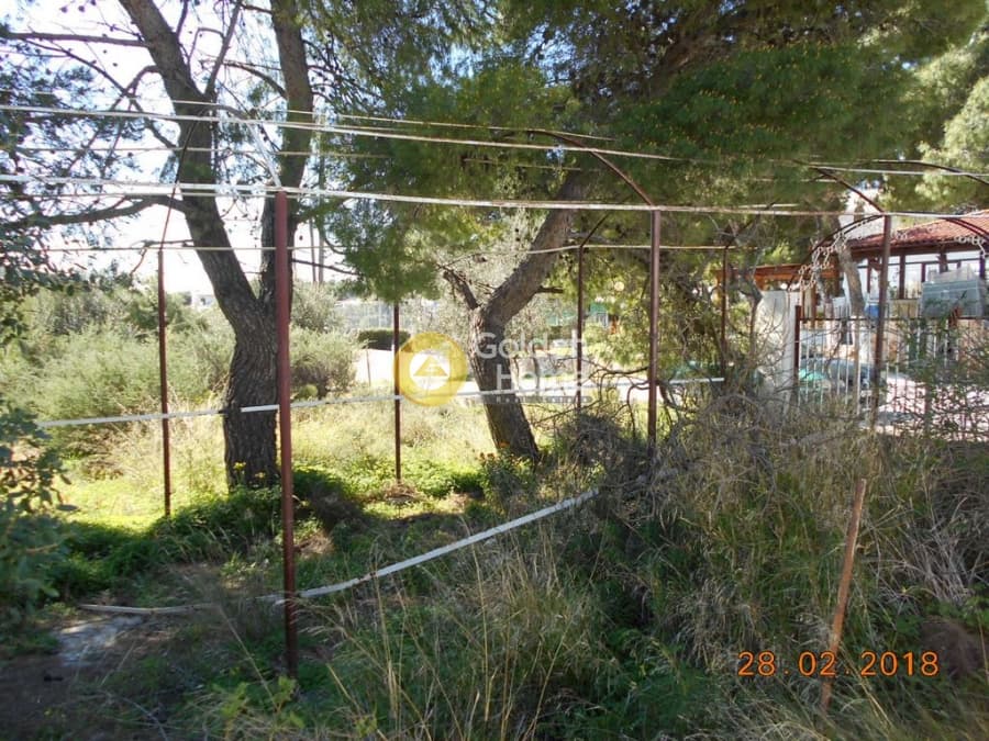 Parcel in Perivolakia, Rafina — Photo 8 of 17