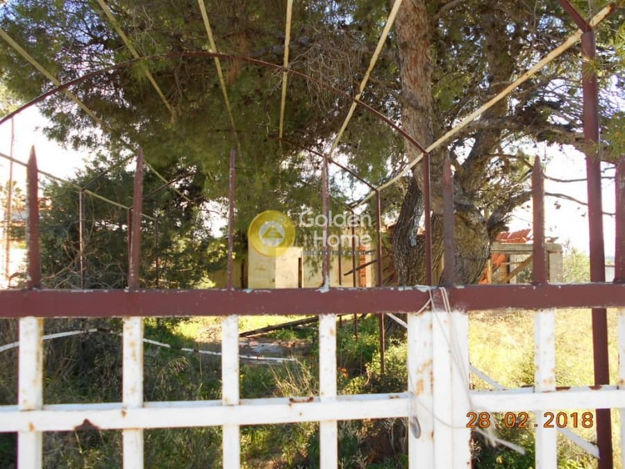 Parcel in Perivolakia, Rafina — Photo 4 of 17