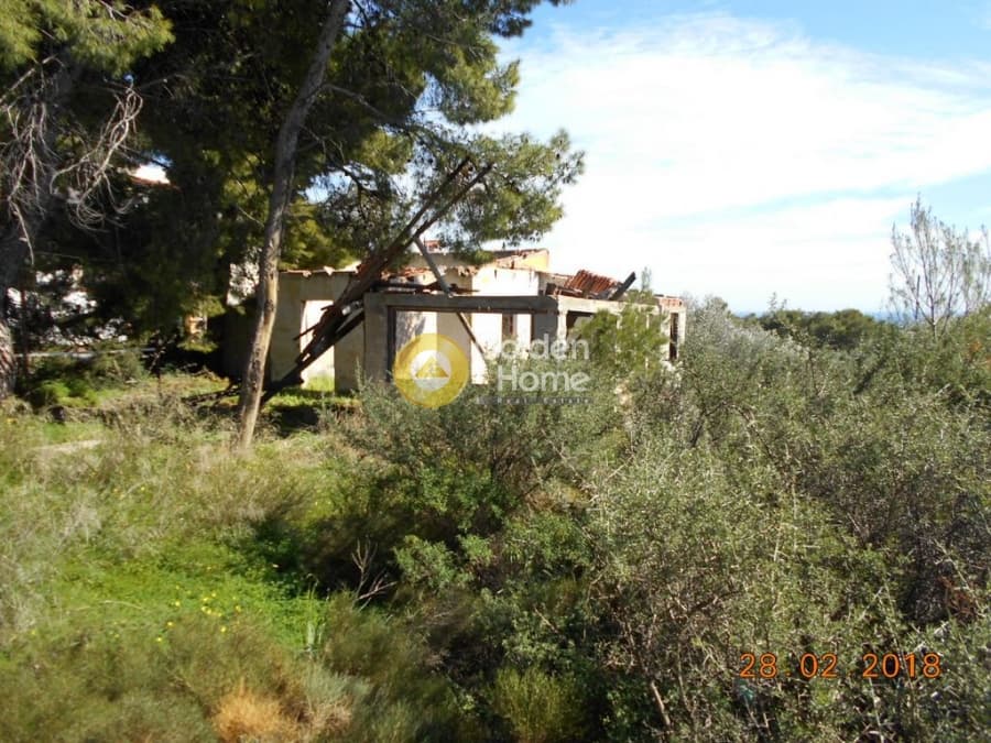 Parcel in Perivolakia, Rafina — Photo 5 of 17