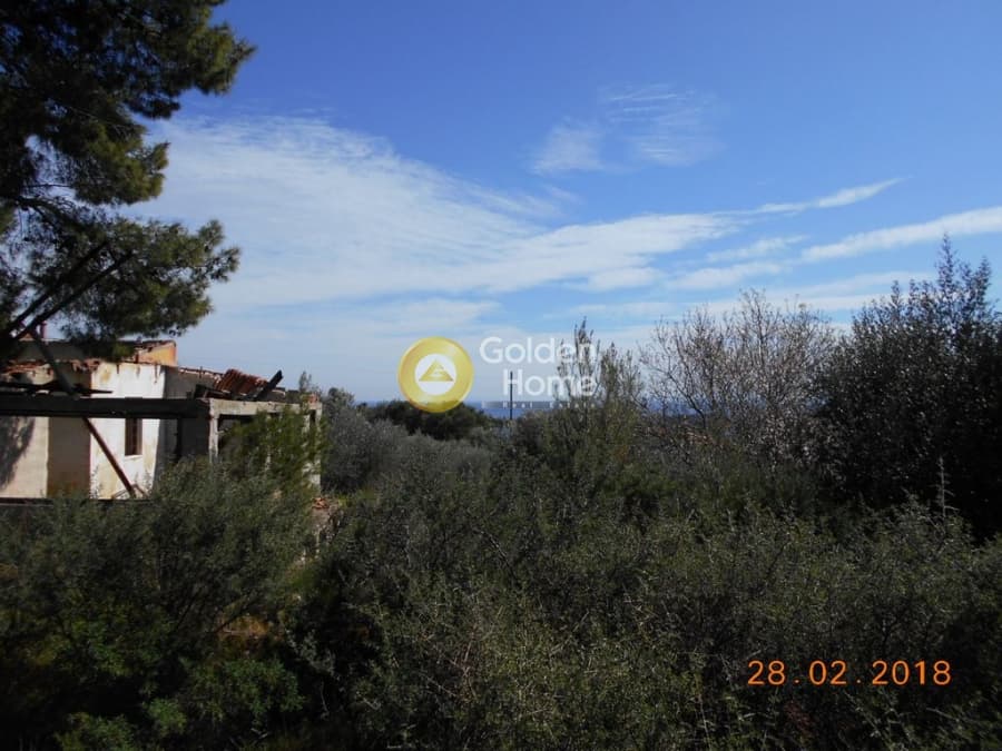 Parcel in Perivolakia, Rafina — Photo 6 of 17