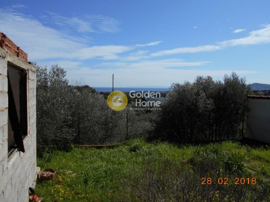 Parcel in Perivolakia, Rafina — Photo 7 of 17
