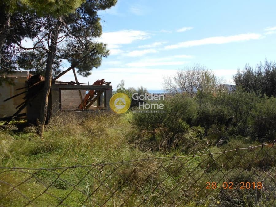 Parcel in Perivolakia, Rafina — Photo 9 of 17