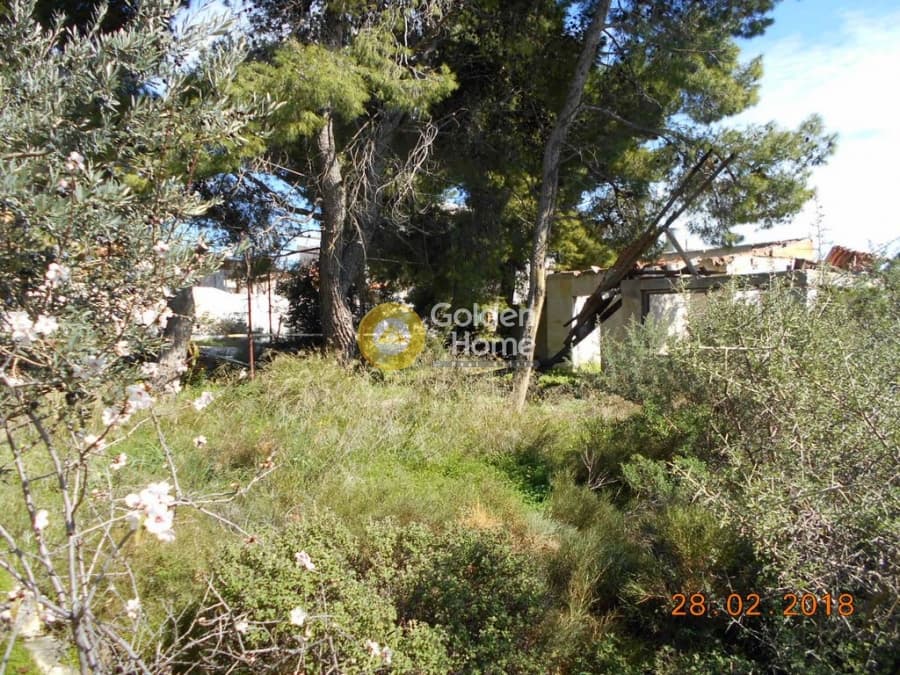 Parcel in Perivolakia, Rafina — Photo 10 of 17