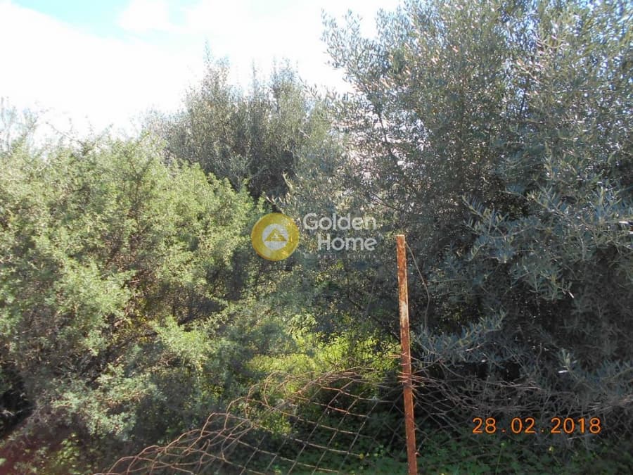 Parcel in Perivolakia, Rafina — Photo 11 of 17