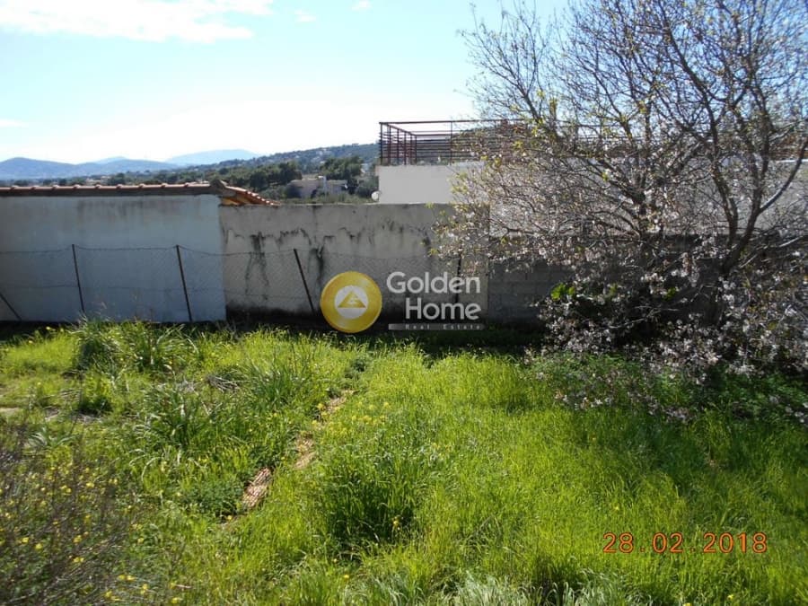 Parcel in Perivolakia, Rafina — Photo 12 of 17