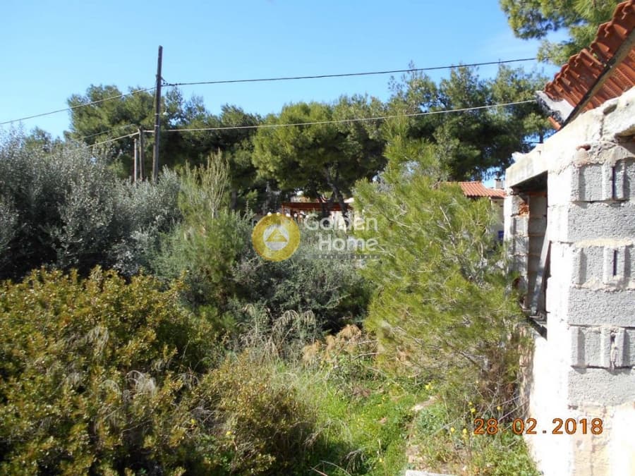 Parcel in Perivolakia, Rafina — Photo 13 of 17