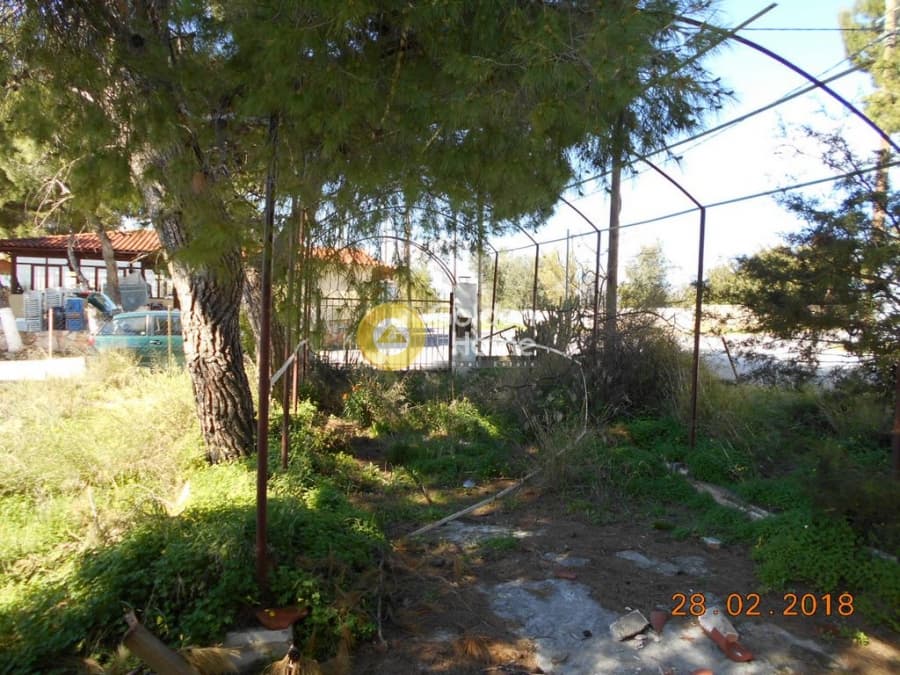 Parcel in Perivolakia, Rafina — Photo 14 of 17