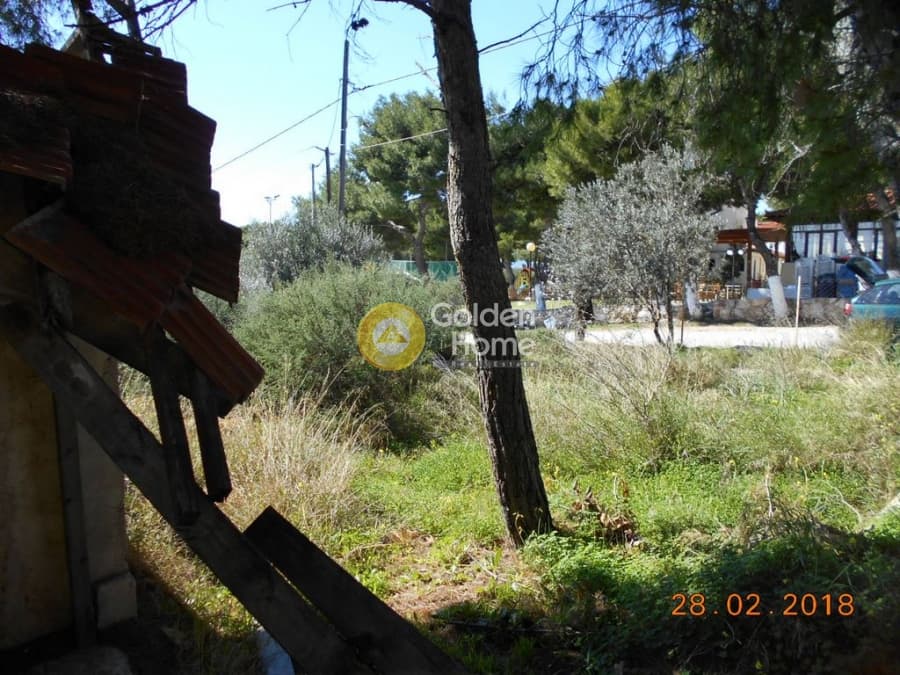Parcel in Perivolakia, Rafina — Photo 15 of 17