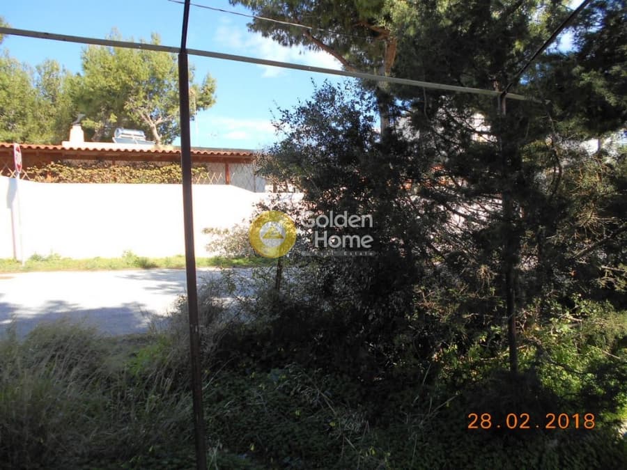 Parcel in Perivolakia, Rafina — Photo 16 of 17