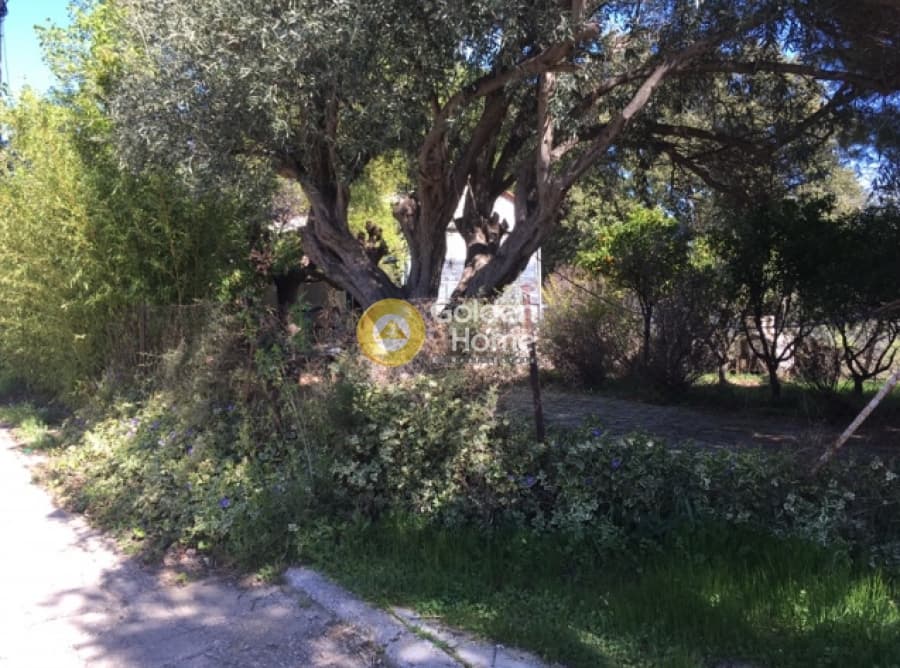 Μονοκατοικία στην Κέντρο, Μαραθώνας — Φωτογραφία 13 από 17