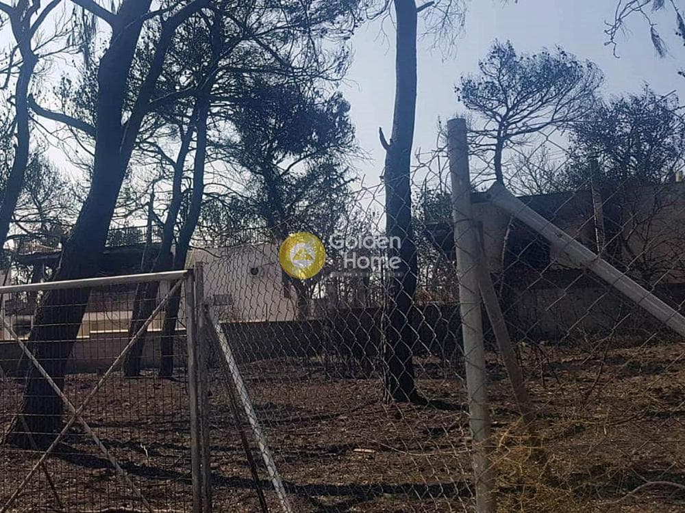 Building Plot in Agios Nikolaos, Rafina — Photo 3 of 8