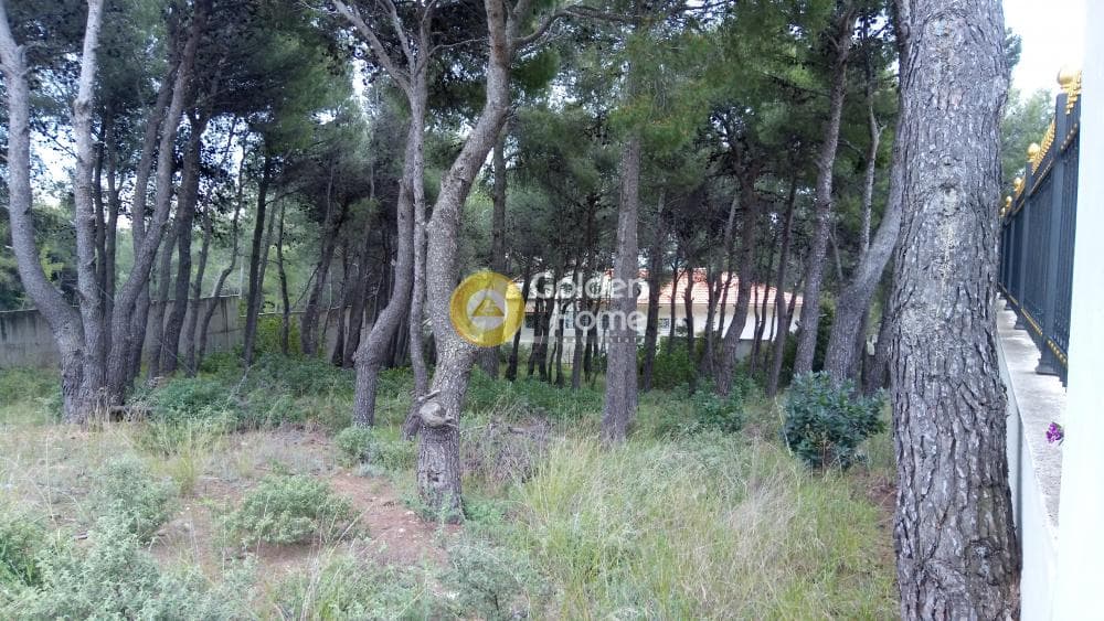Οικόπεδο στην Μεγάλα Σχοινία Α, Αχαρνές — Φωτογραφία 2 από 10
