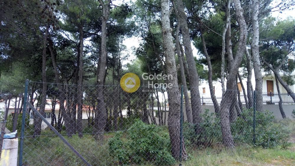 Οικόπεδο στην Μεγάλα Σχοινία Α, Αχαρνές — Φωτογραφία 4 από 10