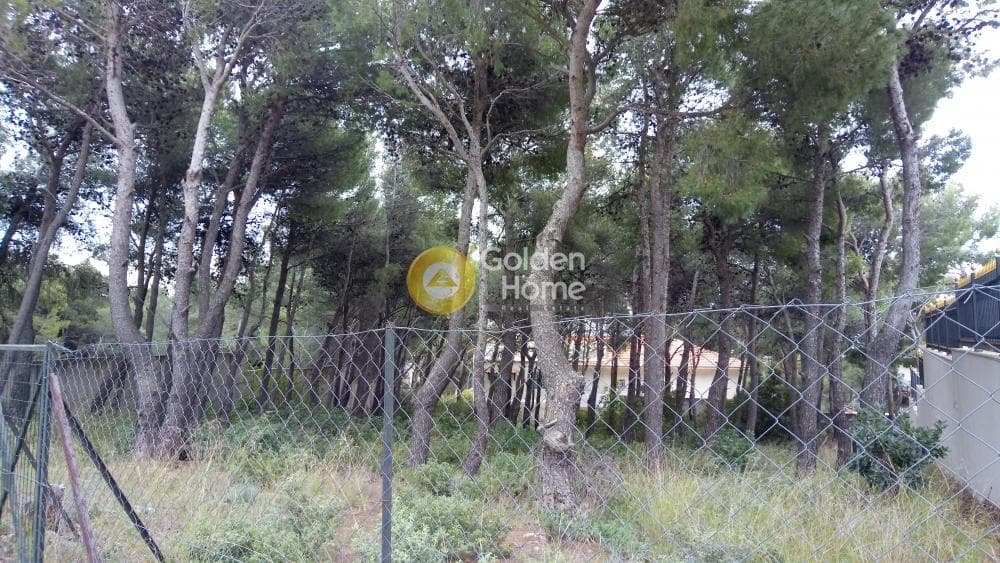 Οικόπεδο στην Μεγάλα Σχοινία Α, Αχαρνές — Φωτογραφία 5 από 10