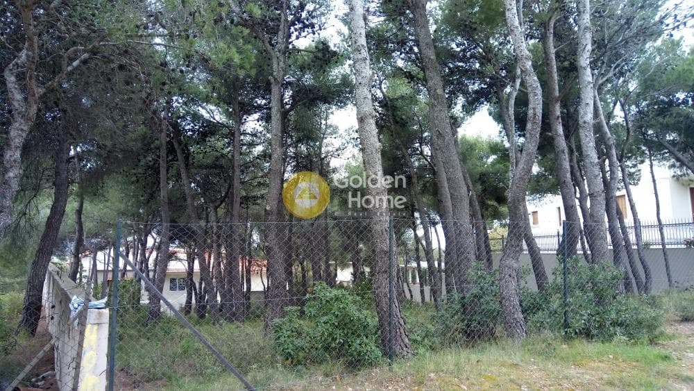 Οικόπεδο στην Μεγάλα Σχοινία Α, Αχαρνές — Φωτογραφία 9 από 10