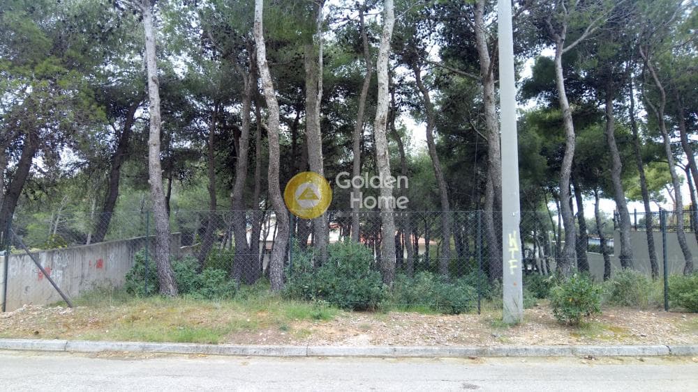 Οικόπεδο στην Μεγάλα Σχοινία Α, Αχαρνές — Φωτογραφία 10 από 10