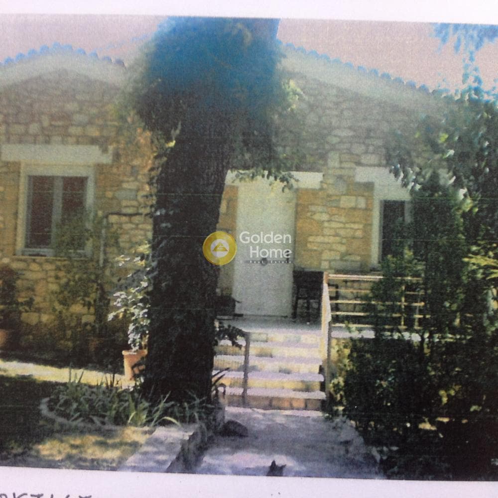 Μονοκατοικία στην Δροσιά, Δροσιά — Φωτογραφία 5 από 12