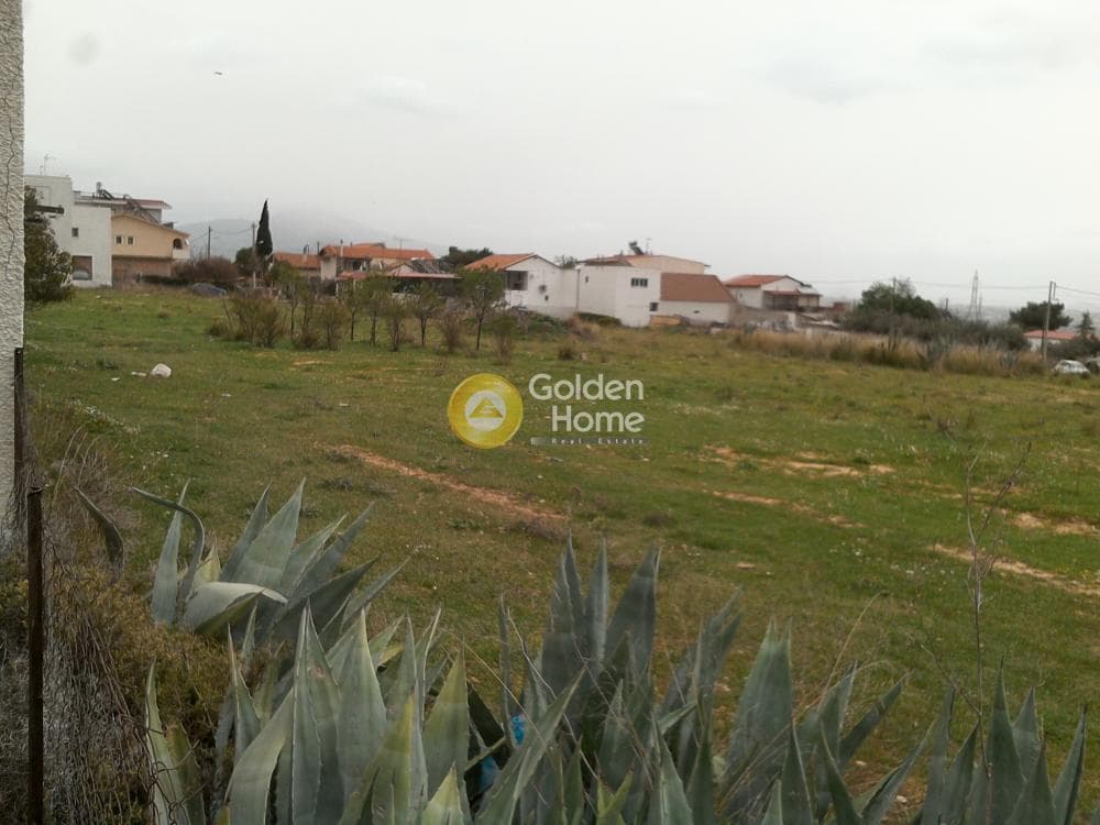 Building Plot in Megala Sxoinia A, Acharnes