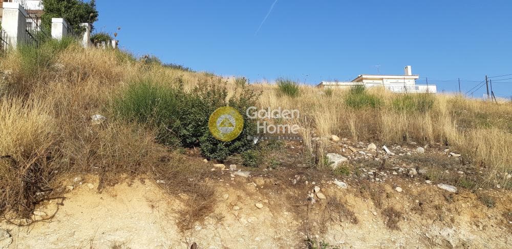 Building Plot in Ntrafi, Pikermi — Photo 3 of 3