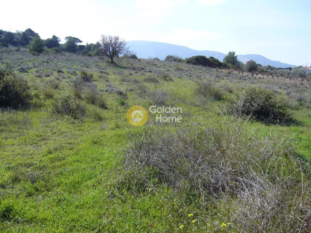 Building Plot in Limni Markopoulou, Markopoulo — Photo 4 of 16