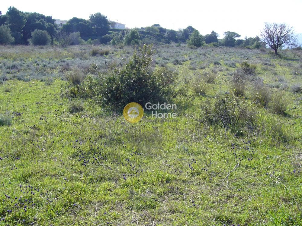 Building Plot in Limni Markopoulou, Markopoulo — Photo 3 of 16