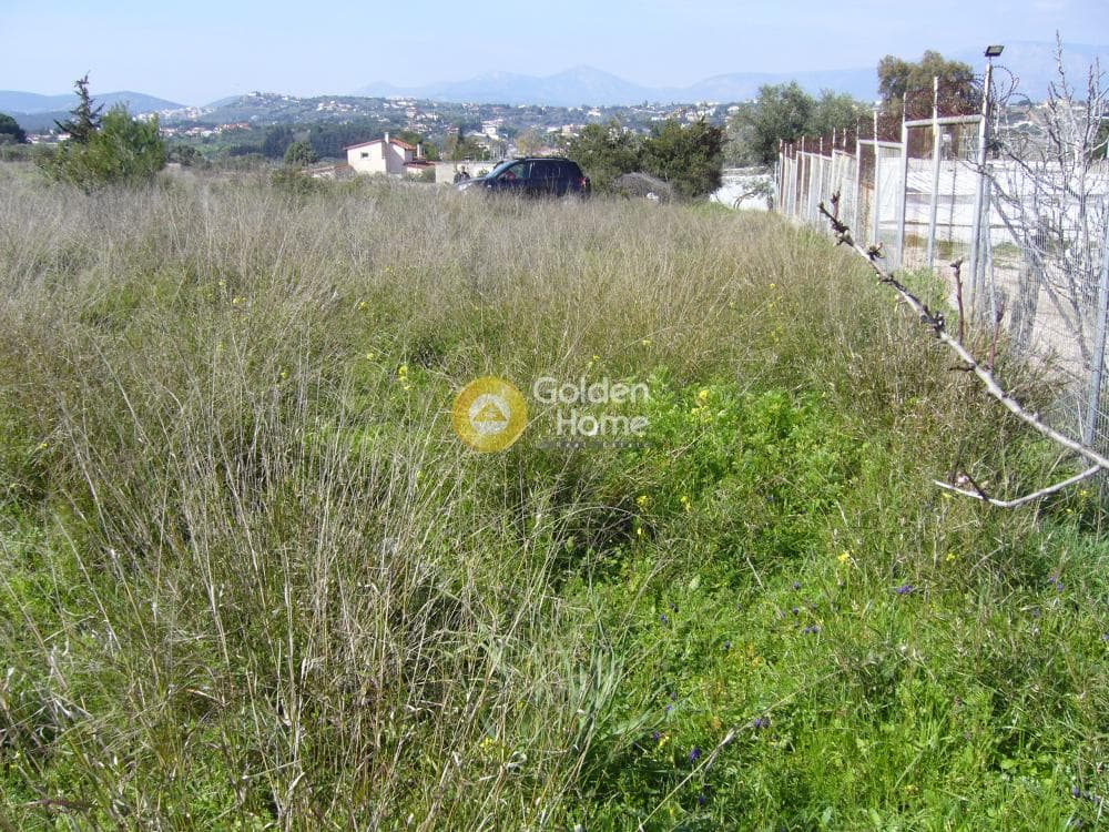 Building Plot in Limni Markopoulou, Markopoulo — Photo 9 of 16